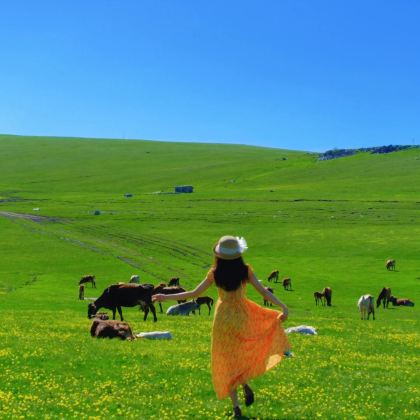 乌兰察布+乌兰哈达火山地质公园+辉腾锡勒草原2日1晚跟团游