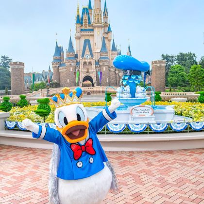 日本迪士尼（Disney）+东京+横滨+富士山6日5晚私家团