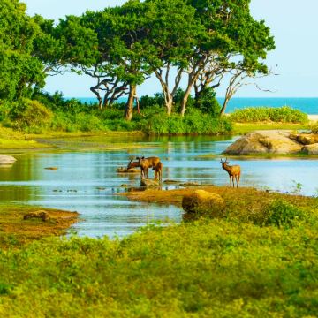 马尔代夫+斯里兰卡9日8晚私家团
