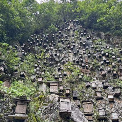 武当山+神农架4日3晚私家团