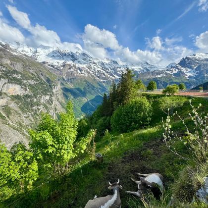 法国+瑞士9日私家团