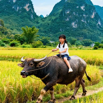 桂林+漓江+阳朔+南宁+德天瀑布+通灵峡谷+北海9日8晚跟团游