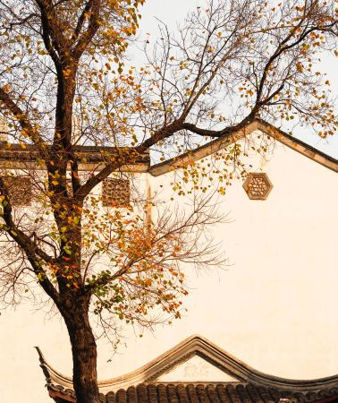 8D7N • Shanghai + Hangzhou + Suzhou + Nanjing + Zhenjiang
