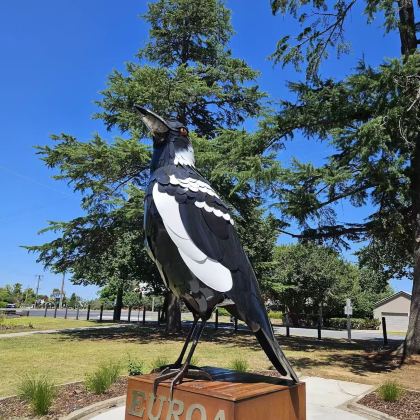 澳大利亚16日14晚拼小团