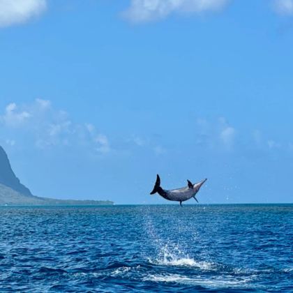 毛里求斯+留尼汪（法属）+马达加斯加+塞舌尔11日10晚私家团