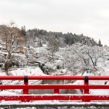 日本名古屋+飞驒高山+白川乡+高山阵屋+金泽5日4晚拼小团