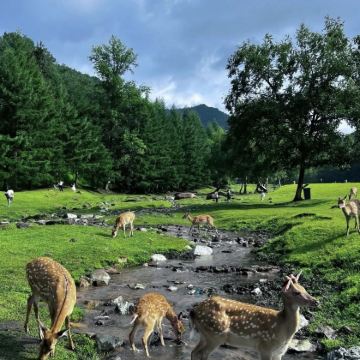 哈尔滨+伊春+五大连池市5日4晚自由行