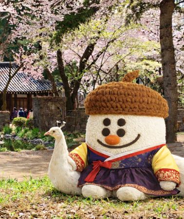 2D1N • South Korea + Seoul + Nami Island + Cheongdo Rail Bike + Garden of Morning Calm