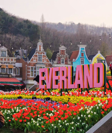 5D4N • South Korea & Seoul & Lotte World Adventure: COEX Aquarium, Lotte World Adventure, Starfield Library, Everland with pandas and roller coasters