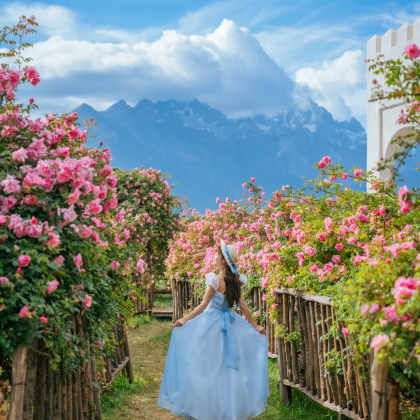 云南昆明+大理市+丽江6日5晚跟团游