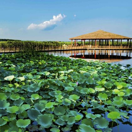 中国石家庄8日5晚跟团游