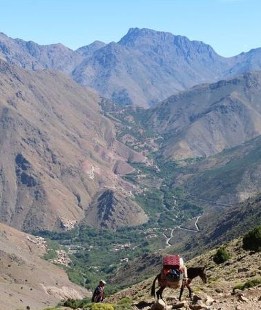 2D1N • Mount Toubkal Trek-2 day