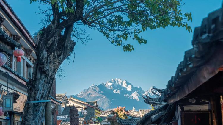Yunnan + Kunming + Dali City + Lijiang + Lugu Lake Scenic Area