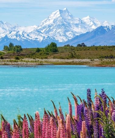 5D4N • Queenstown + Christchurch + Lake Tekapo + Wanaka + Arrowtown + Cromwell + Aoraki / Mount Cook