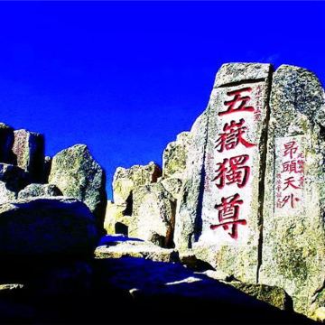 济南+泰安+曲阜+青岛+威海+烟台+蓬莱区7日6晚跟团游