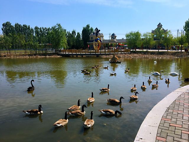 花仙谷景区旅行图片 4