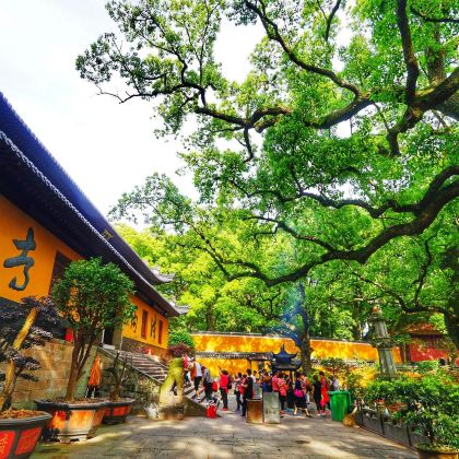 浙江普陀山2日1晚跟团游