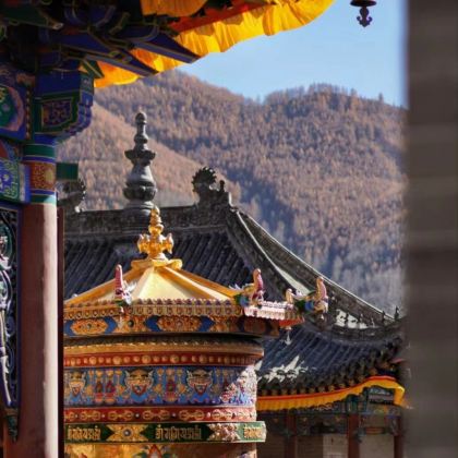 山西+五台山+河边民俗博物馆3日2晚私家团