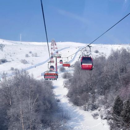 张家口+崇礼区+万龙滑雪场+万龙度假天堂3日2晚自由行