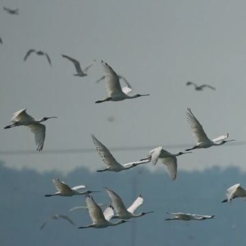 盐城4日3晚私家团