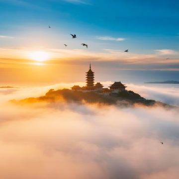 宁波+普陀山3日2晚私家团