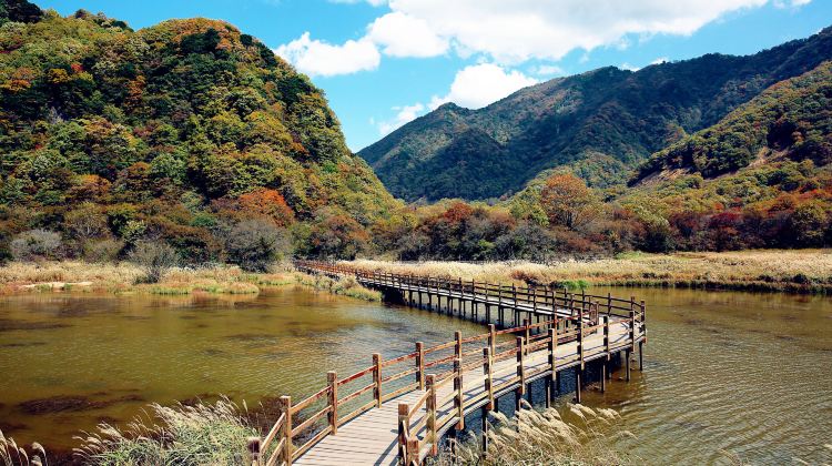 6-day 5-night · Private Tour · Shennongjia + Enshi City