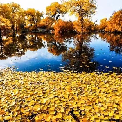 银川+额济纳胡杨林旅游区+乌兰湖+黑水城遗址+居延海6日5晚跟团游