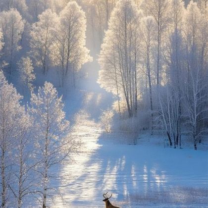 沈阳故宫+长白山+延吉7日6晚私家团