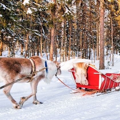 俄罗斯莫斯科+摩尔曼斯克6日5晚拼小团