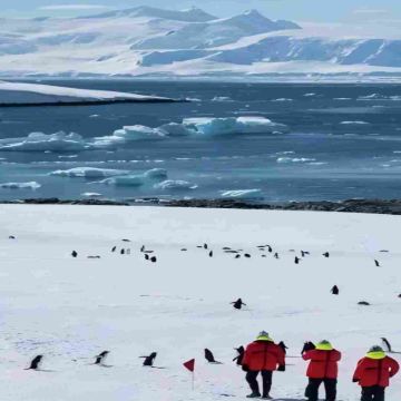阿根廷乌斯怀亚+南极洲南极半岛+南设得兰群岛+中国南极长城站17日跟团游