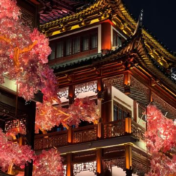 上海+杭州+乌镇4日3晚私家团