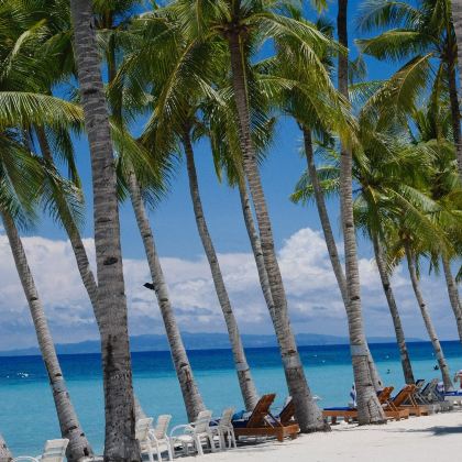 菲律宾宿务+薄荷岛+锡基霍尔岛7日6晚跟团游