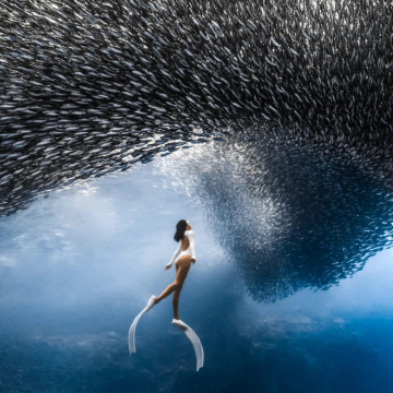 菲律宾宿务+薄荷岛+巴里卡萨岛6日5晚跟团游