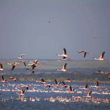 肯尼亚9日跟团游