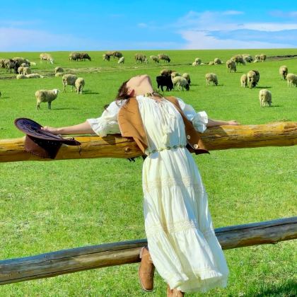 乌兰布统旅游区+木兰围场+塞罕坝国家森林公园+坝上+承德6日5晚拼小团