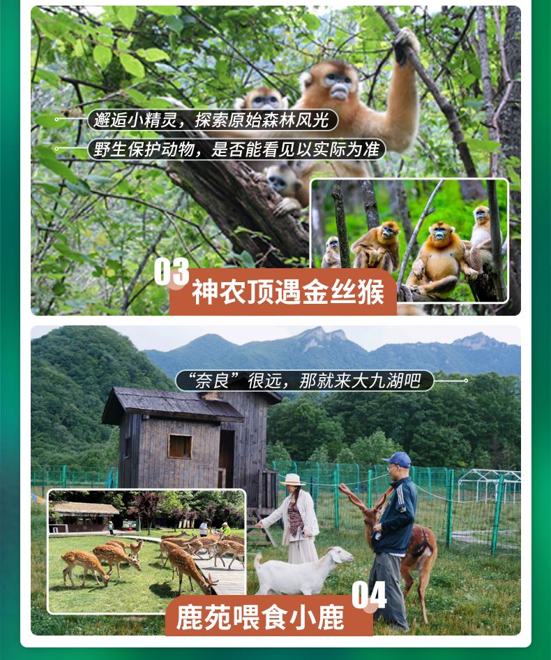 神农架、宜昌