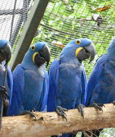 4D3N • 4 Days and 3 Nights 3 Stars Hotel Iguassu Falls - Private Tours