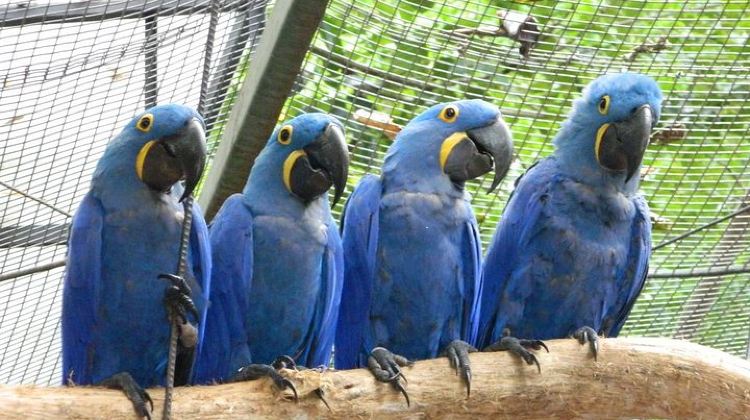 4-Day 4 Days and 3 Nights 3 Stars Hotel Iguassu Falls - Private Tours