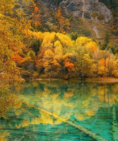 5D4N • Chengdu Panda & 5 UNESCO Heritage Trip: Jiuzhaigou, Huanglong, Dujiangyan, Leshan Giant Buddha, Mount Emei - High-Speed Rail, Hotels & All Tickets Included