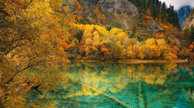 All-Inclusive 4 UNESCO Sichuan Tour: Chengdu, Panda, Jiuzhaigou, Huanglong, Leshan Giant Buddha, Mount Emei - Airport Transfer, High-Speed Rail & Full Tickets Included