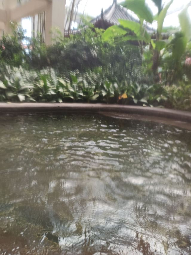 龙腾温泉度假村旅行图片 7