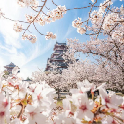 日本大阪+京都+奈良+岚山4日3晚跟团游