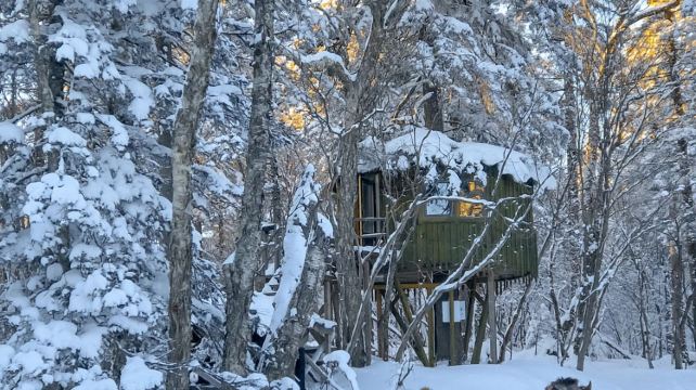 5-Day Northern Utopia Snow Adventure Harbin Private Tour·Songhua River, Central Street, China Harbin Ice And Snow World, Siberia Tiger Park and Yabuli Ski Resort