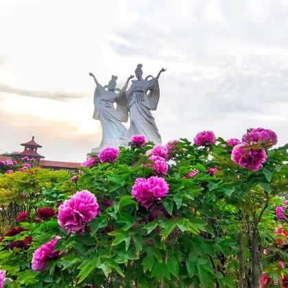 菏泽+曹州牡丹园+水浒好汉城+孙膑旅游城3日2晚私家团