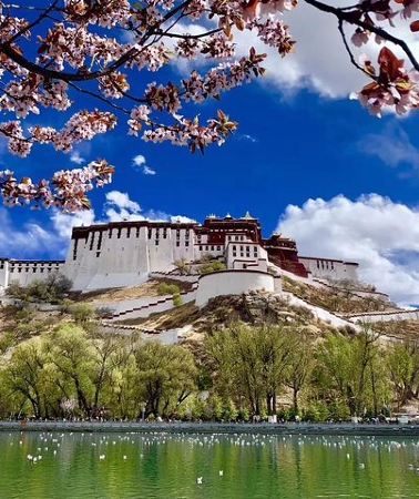 4D3N • 4 Days Lhasa Impression Small Group Tour