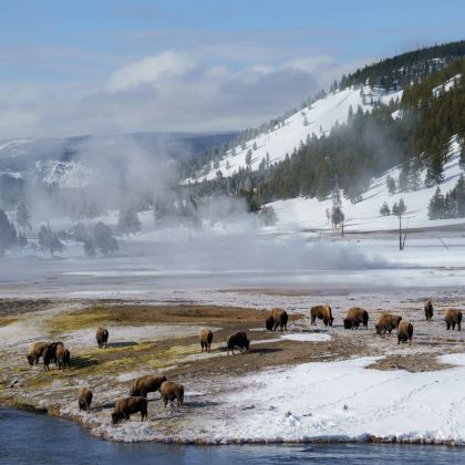 美国盐湖城+黄石国家公园+大蒂顿国家公园+杰克逊7日6晚私家团