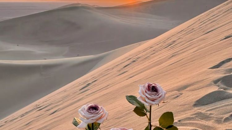 5-Day Private Tours: Dunhuang, Mingsha Mountain Crescent Spring, Yulin Grottoes, Yang Pass, Yumen Pass, and Dunhuang Yardang National Geopark | Complimentary Children's Tickets to the Mogao Grottoes and A-class Ticket