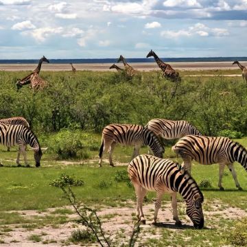 纳米比亚温得和克+埃托沙国家公园3日2晚跟团游