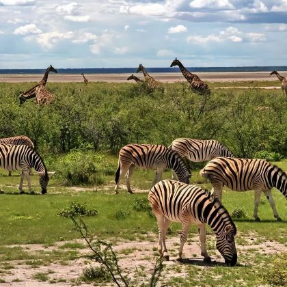 纳米比亚温得和克+埃托沙国家公园3日2晚跟团游