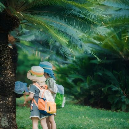 西双版纳5日4晚私家团